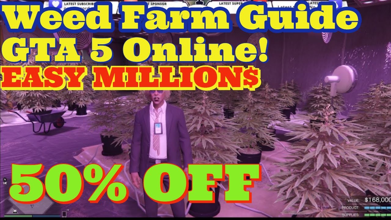 different colors on weed farms mean gta 5 online